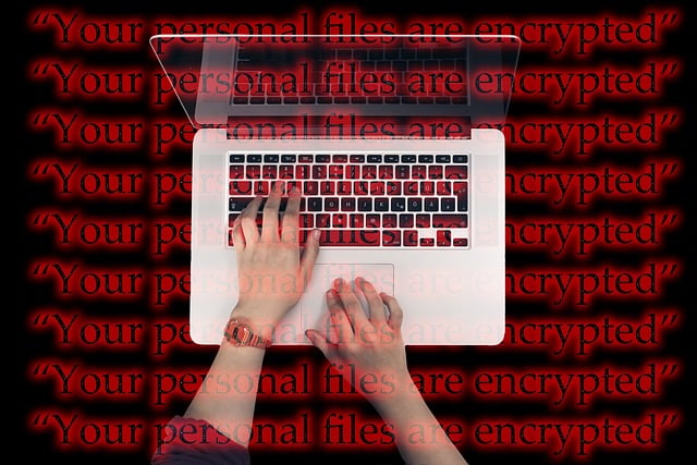 Assessing the Impact of Technological Advances on Malware Delivery Methods